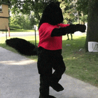 Squirrel-dance GIFs - Get the best GIF on GIPHY