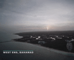 Discovery Bahamas GIF by Shark Week