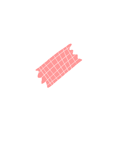 Washi Tape Sticker