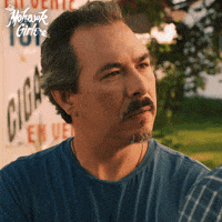 Approve I Like It GIF by CBC