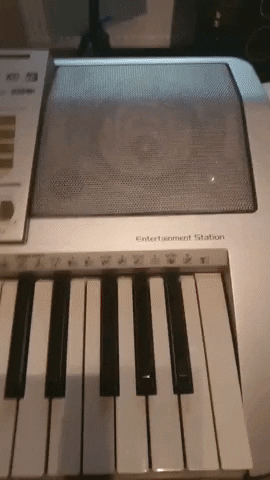 DRECK DER STADT GIF
