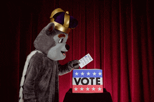 Vote Election GIF by James Madison University