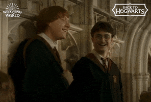 Ron Weasley Laugh GIF by Harry Potter