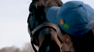 I Am Horse Racing GIF