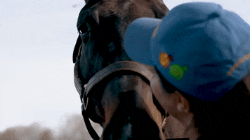 iamhorseracing love pet horse race GIF
