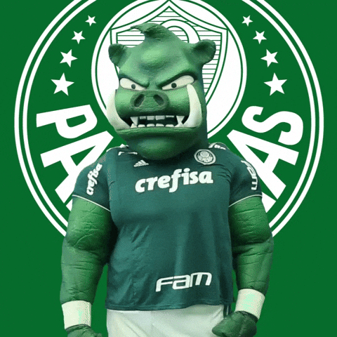 Power Mascote GIF by SE Palmeiras
