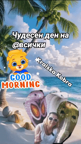 Kralska Kobra GIF