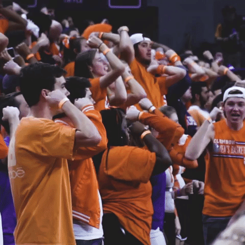 GIF by Clemson Tigers