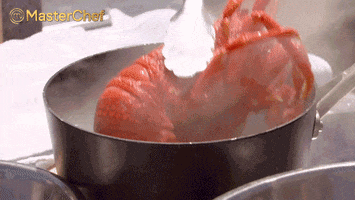 lobster cray GIF by MasterChefAU