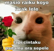 Karbit GIF