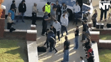 200.gif?cid=fc005b089db9604f91302702772445f1b9a26b1b080bc37c&rid=200.gif&ct=g