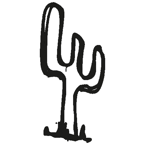 Cactus Destino Sticker by aire retro