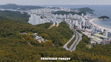Fruiterie Forest Busan GIF