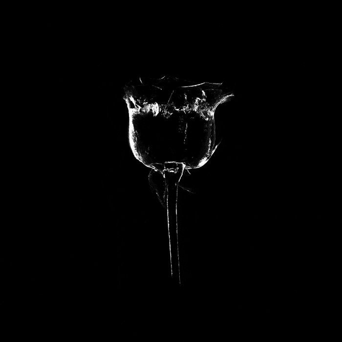 Black And White 3D GIF by VALERIS