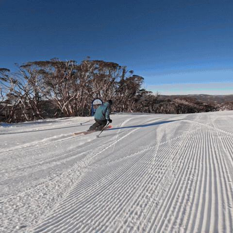 GIF by Thredbo