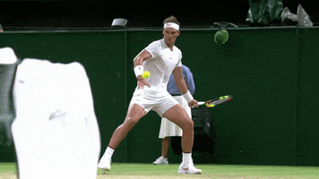 Left Handed Tennis GIF by Wimbledon
