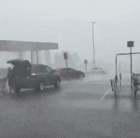 200.gif?cid=fc005b08ed97881f57a34ce252af543482e67e41619f87d6&rid=200.gif&ct=g