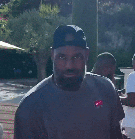 Lebron James Basketball GIF