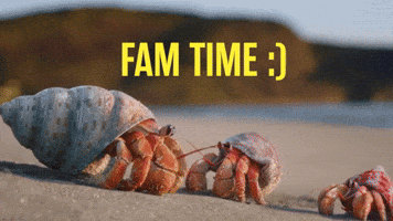 Family Time Kids GIF by JoinZuzu