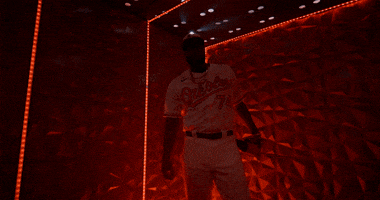 The Mountain Sport GIF by Baltimore Orioles
