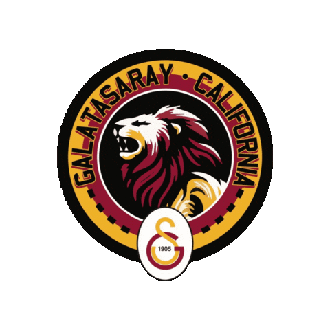 Soccer Futbol Sticker by joyxtr