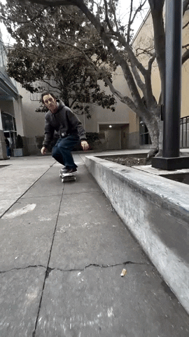 Loop Satisfying GIF by Pizza Skateboards