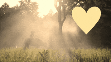 Matreshkafest GIF