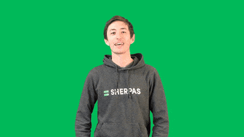 Fond Vert Smile GIF by Les Sherpas