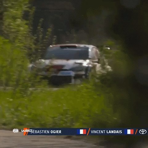 Rallying Ford GIF by FIA World Rally Championship