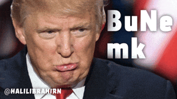 Donald Trump GIF