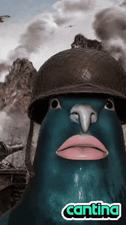 Pigeon GIF by Cantina