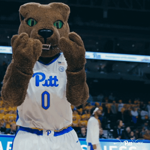 Pitt Panthers Panther GIF by Pitt Men's Basketball