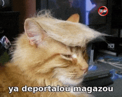 Aunno GIF