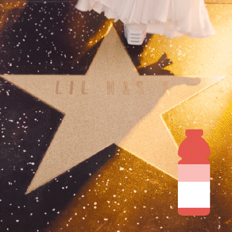 Walk Of Fame Stars GIF by Vitaminwater
