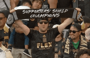 Supporters Shield Football GIF by Major League Soccer