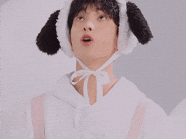 Dk 세븐틴 GIF