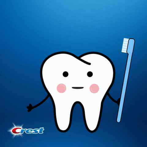 Happy Laugh GIF by Crest - Find & Share on GIPHY