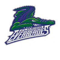 Florida Everblades Sticker