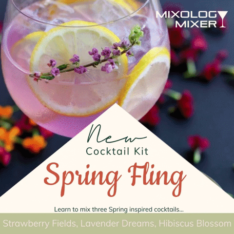 MixologyMixer virtual events virtual happy hour spring fling virtual cheers GIF