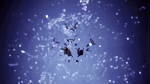 Squid Game Gif - IceGif