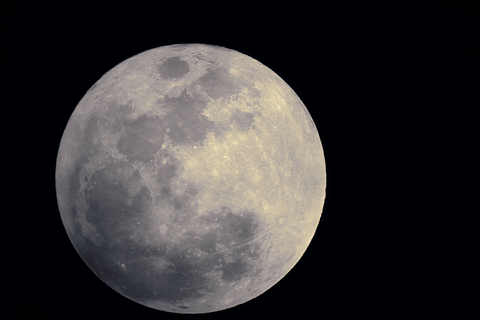 space moon GIF