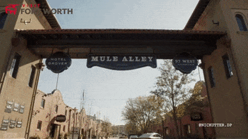 Ft Worth Vacation GIF by Visit Fort Worth