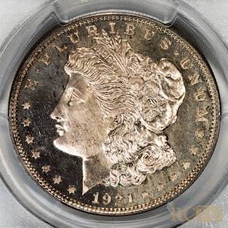 Silver Dollar Coin GIF by Rare Collectibles TV