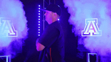 200.gif?cid=fc005b083ff2897e3ca24394a333997fd94724fa77182b3d&rid=200.gif&ct=g