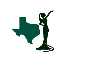 texasearthpageant Sticker
