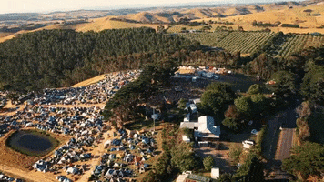 NYE on the Hill GIF