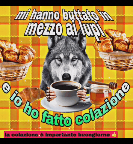 Branco Cappuccino GIF