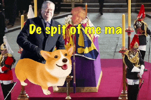 De Spit Of Me Ma GIF