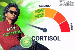 Pr Katta GIF