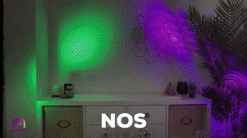 Networker Magnetica GIF